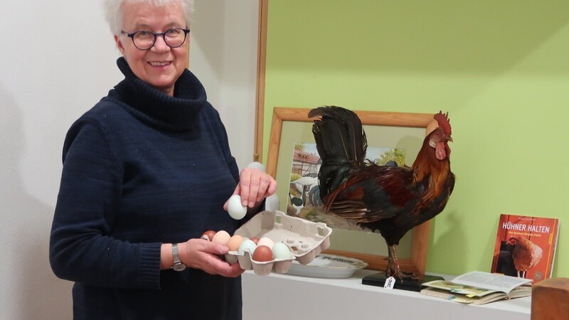 Museumsleiterin Barbara Michal, als sie noch bei der Vorbereitung der Ausstellung war. Hühner waren die ersten Tiere, die in der industriellen Massentierhaltung gelandet sind. Die Kritik an dieser Haltungsform entzündete sich ebenfalls als Erstes an den Hühnern.