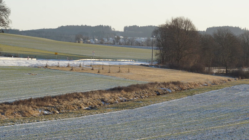 Streuobstwiesen, wie hier im Vilsbiburger Ortsteil Haarbach, legt der Landschaftspflegeverband regelmäßig an.
