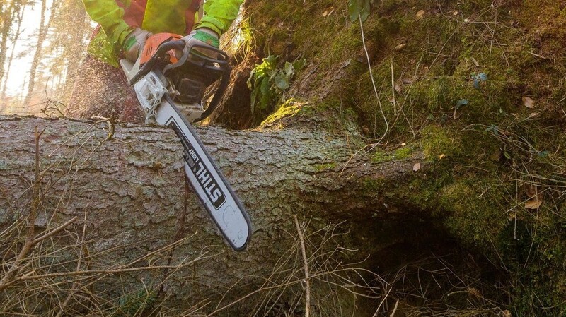 Ein Waldarbeiter wurde schwer verletzt.