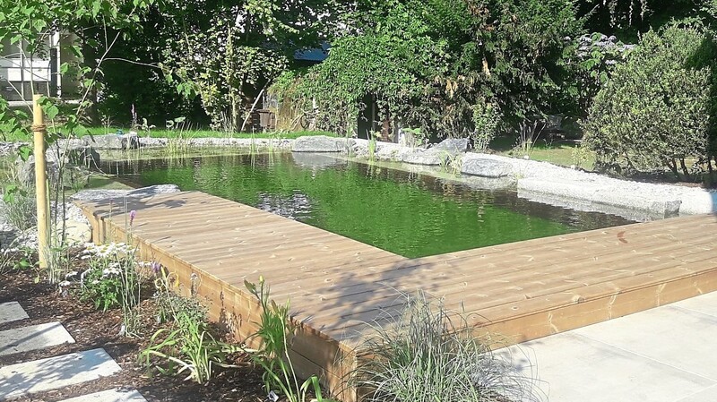 Auch Teiche erleben in Corona-Zeiten große Nachfrage - sie sind die "natürliche Variante" der Schwimmgelegenheit im eigenen Garten.