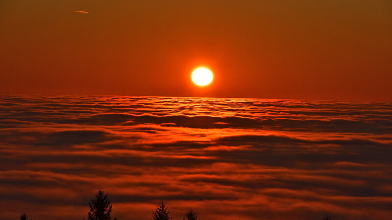 Die Sonne ging wunderschön über dem Nebelmeer auf den Hochlagen des Landkreises Straubing-Bogen unter.