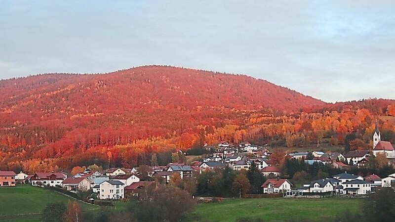 Herbststimmung im Bayerischen Wald (in Grattersdorf).  Fotos: