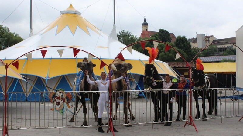 Jacqueline Köllner (li.) präsentiert mit weiteren Zirkusmitgliedern einen Teil der Tiere, die bei der Show auftreten.