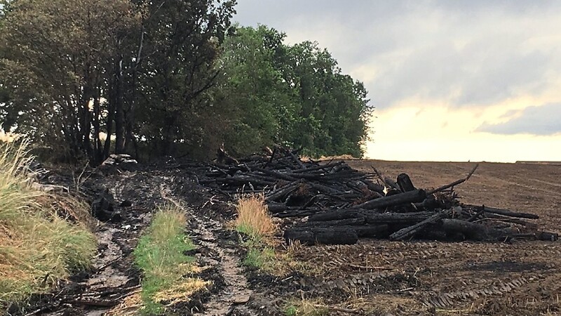 Ein Feld und ein Holzstoß wurden Opfer der Flammen.