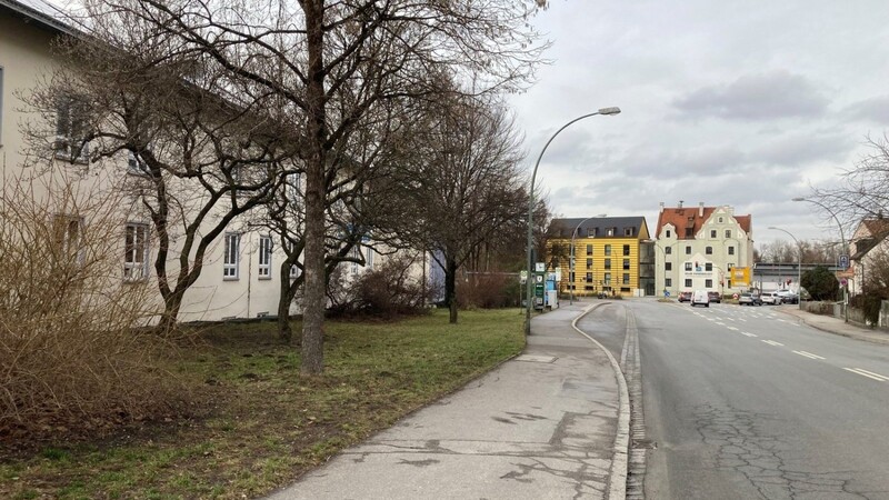 Am kommenden Mittwoch entfernt das Staatliche Bauamt in Abstimmung mit der Stadt Landshut im Bereich der Karl-Heiß-Grundschule mehrere Bäume.