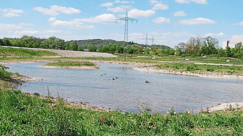 Die neuen Ausgleichsbiotope liegen zwischen Hitachi und dem Damm (links im Bild), hinter dem die Staatliche Realschule gebaut wird. Im Bereich der Wasserflächen brütet ein Flussregenpfeifer-Pärchen.  Fotos: sig