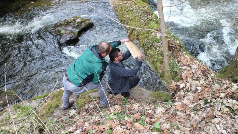 Praktikant Christian Wildbrett und Ranger Martin Graf vom Naturpark bei der Nistkastenaktion für die Wasseramsel .