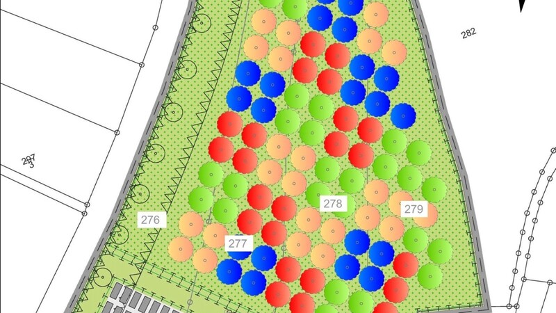 99 Obstbäume sollen auf der Streuobstwiese gepflanzt werden, alles alte heimische Sorten. Grün: 28 Birnen, rot: 24 Äpfel, blau: 22 Hauszwetschgen, gelb: 25 Mirabellen. Dazwischen und drumherum 14.725 Quadratmeter mageres extensives Grünland.