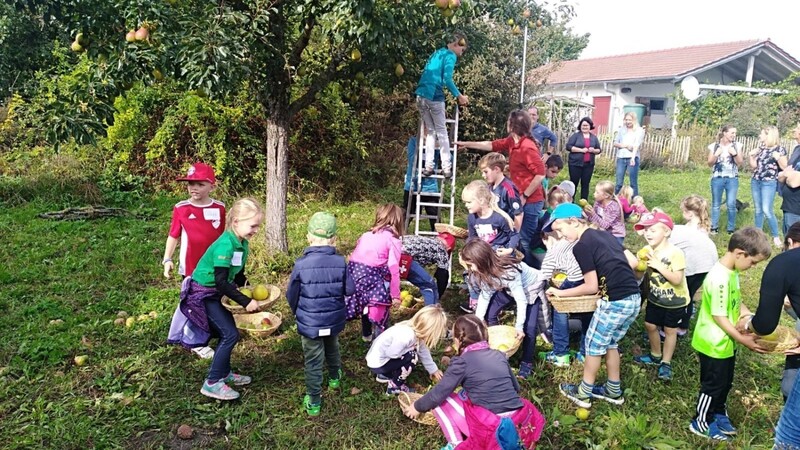 Die Kinder aus den Gartenbauvereinen aus Ganacker und Pilsting erkundeten die Streuobstwiese.