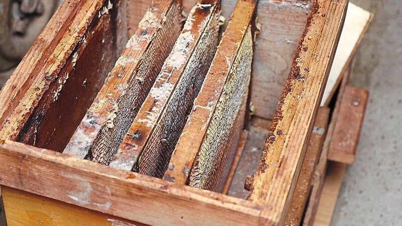 Der Kasten für Ableger von einem Bienenvolk wartet nicht zuletzt auf Spachtel und Drahtbürste.