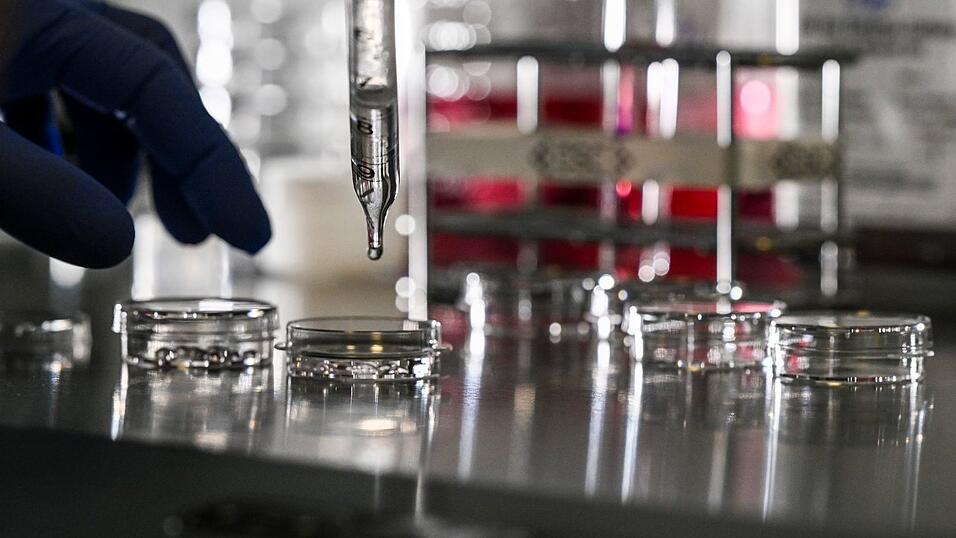 Ein neuer Fonds soll dazu beitragen, forschungsintensiven Zukunftstechnologien zum kommerziellen Durchbruch zu verhelfen.