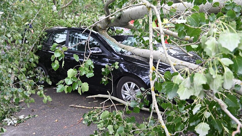 Schaden entstanden auch durch umgest&uuml;rzte B&auml;ume, die auf Autos fielen.