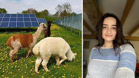 Die Alpakas auf dem Hof ihrer Familie haben es Selina Wolf von Anfang an angetan.