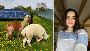 Die Alpakas auf dem Hof ihrer Familie haben es Selina Wolf von Anfang an angetan.