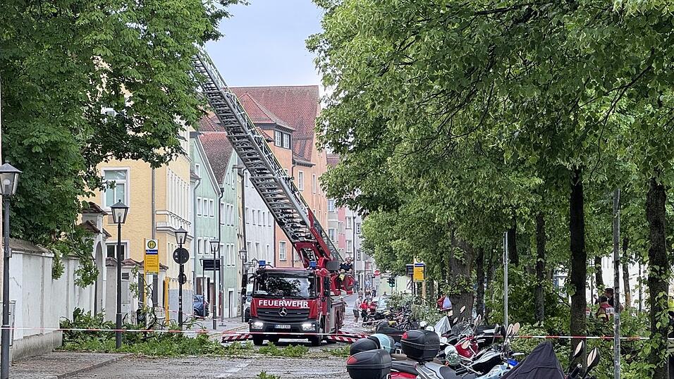 Die Thundorferstraße war am Sonntag zeitweise gesperrt, nachdem ein Baum umgestürzt war. Die Thundorferstraße war am Sonntag zeitweise gesperrt, nachdem ein Baum umgestürzt war.