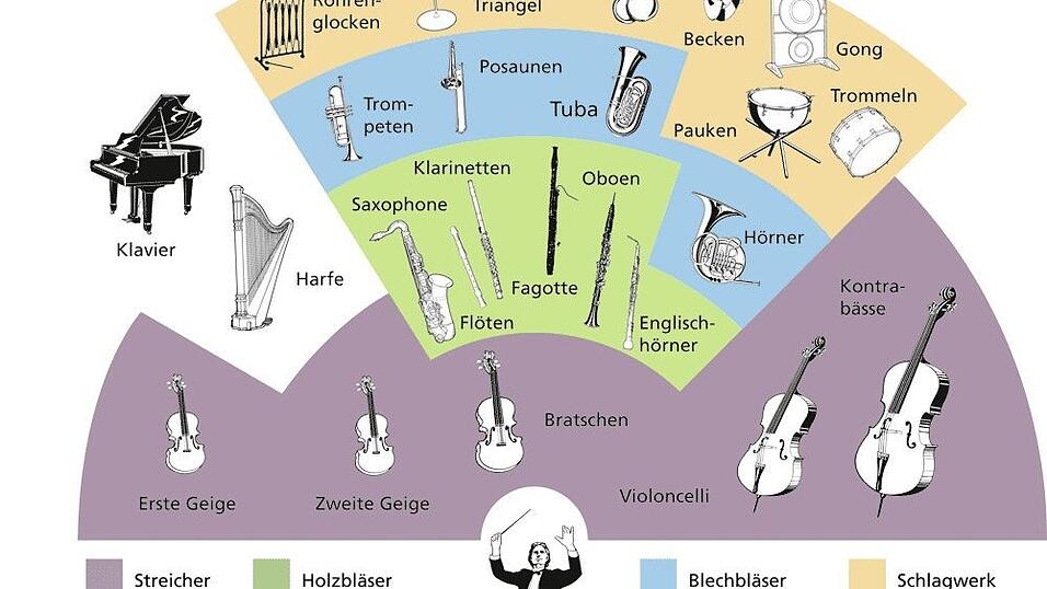So ist ein Symphonie-Orchester aufgebaut. (Grafik: Denise Zellmer)