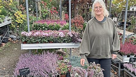 Doris Wiethaler steht vor ihrer Ausstellung f&uuml;r Allerheiligen. Vor ihr liegen zwei weitere, gr&ouml;&szlig;ere Blumengestecke. Links ein modernes mit viel wei&szlig;er Farbe und rechts eines mit Herz. Die Form komme gut an, sagt Wiethaler.