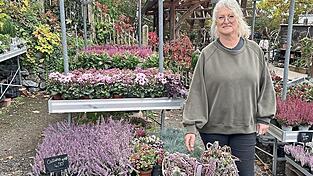 Doris Wiethaler steht vor ihrer Ausstellung für Allerheiligen. Vor ihr liegen zwei weitere, größere Blumengestecke. Links ein modernes mit viel weißer Farbe und rechts eines mit Herz. Die Form komme gut an, sagt Wiethaler. Doris Wiethaler steht vor ihrer Ausstellung für Allerheiligen. Vor ihr liegen zwei weitere, größere Blumengestecke. Links ein modernes mit viel weißer Farbe und rechts eines mit Herz. Die Form komme gut an, sagt Wiethaler.