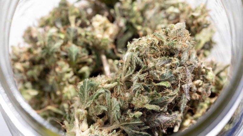 Ein 25-Jährige hatte gedacht, ein gute Versteck für sein Marihuana gefunden zu haben. (Symbolbild) Ein 25-Jährige hatte gedacht, ein gute Versteck für sein Marihuana gefunden zu haben. (Symbolbild)