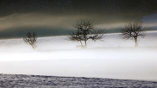 Mild und trüb soll es in Bayern am Wochenende werden. (Symbolbild) Mild und trüb soll es in Bayern am Wochenende werden. (Symbolbild)