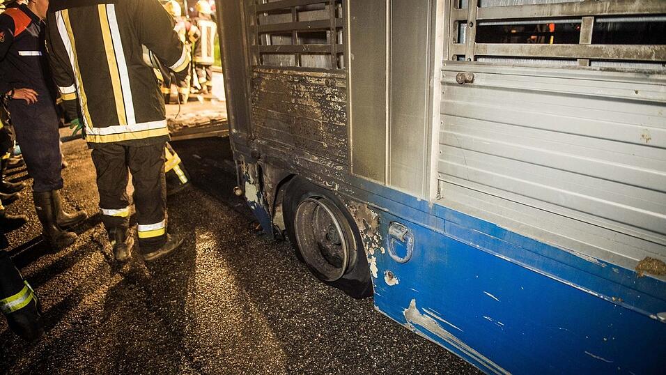 Kniffliger Einsatz f&uuml;r die Feuerwehren aus Rohr/Ndb. und Obereulenbach am sp&auml;ten Donnerstagabend. Ein Schweinetransporter hatte auf dem Weg zum Schlachthof Feuer gefangen. Neun der Tiere kamen durch den Stress und den giftigen Rauch ums Leben.