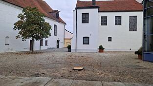 Wo vorher ein prächtiger Ahornbaum im Innenhof des Kastenhofs stand, ist nur noch ein Baumstumpf übrig. Wo der Baum geblieben ist, ist unklar.