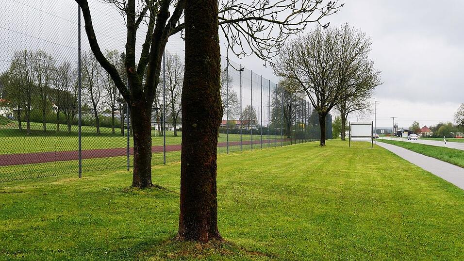 Dieser Gr&uuml;nstreifen muss f&uuml;r die neue Sportanlage Platz machen.