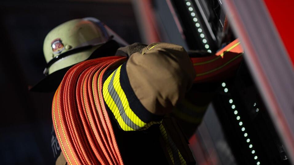 Mehrere Kühe sind bei dem Brand gestorben. Einige Tiere hat die Feuerwehr aber retten können. (Symbolbild) Mehrere Kühe sind bei dem Brand gestorben. Einige Tiere hat die Feuerwehr aber retten können. (Symbolbild)