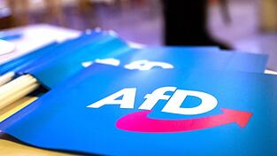 Die AfD hat den Einzug in die Stichwahlen von Landkreisen, kreisfreien St&auml;dten und gro&szlig;en Kommunen nach den vorl&auml;ufigen Ergebnissen verpasst. (Symbolfoto)