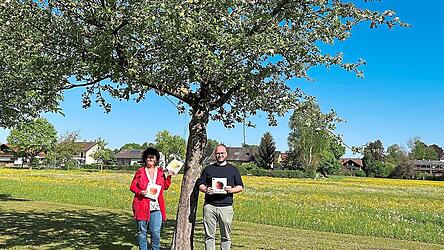 Bürgermeisterin Liane Sedlmeier und der Referent des Stadtmarketings stellen die Beschilderung der Obstbäume vor.