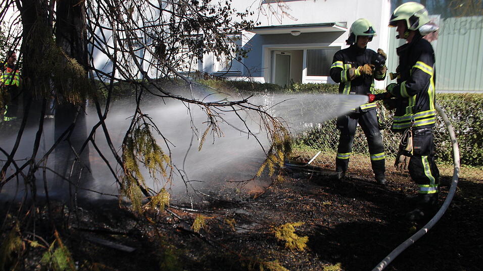 Drei Fichten brannten bei Trockenheit schnell ab. Drei Fichten brannten bei Trockenheit schnell ab.