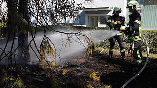 Drei Fichten brannten bei Trockenheit schnell ab.