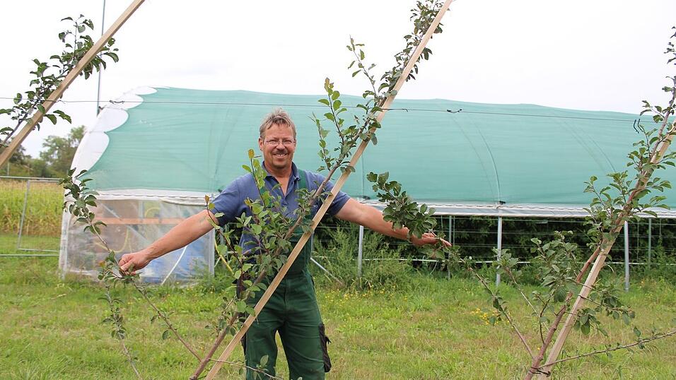 Hans Göding liebt seine Arbeit: Er steht hinter einer Reihe Apfelbäume, die versuchsweise schräg angepflanzt werden. Hans Göding liebt seine Arbeit: Er steht hinter einer Reihe Apfelbäume, die versuchsweise schräg angepflanzt werden.