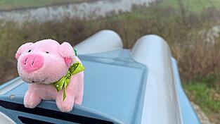 Mit einem Fernglas kann vom 'Heiligen Berg' Niederbayerns aus in den südlichen Landkreis geblickt werden. Wo ist das Glücksschwein? Bild 1 Mit einem Fernglas kann vom 'Heiligen Berg' Niederbayerns aus in den südlichen Landkreis geblickt werden. Wo ist das Glücksschwein? Bild 1