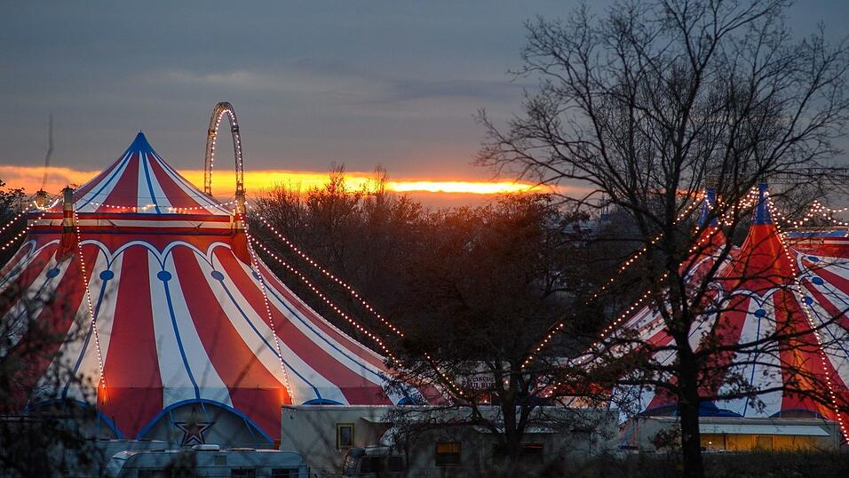 Zirkusbetriebe m&uuml;ssen an die Gema zahlen. (Symbolbild)