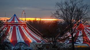Zirkusbetriebe m&uuml;ssen an die Gema zahlen. (Symbolbild)
