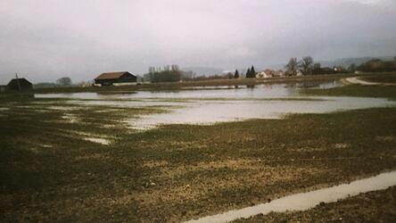 2013 stand das Grundwasser gro&szlig;fl&auml;chig wie ein See auf dem Grundst&uuml;ck, das als Standort f&uuml;r die Kotlagerhalle vorgesehen ist.