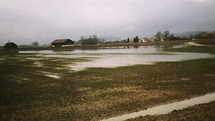 2013 stand das Grundwasser gro&szlig;fl&auml;chig wie ein See auf dem Grundst&uuml;ck, das als Standort f&uuml;r die Kotlagerhalle vorgesehen ist.