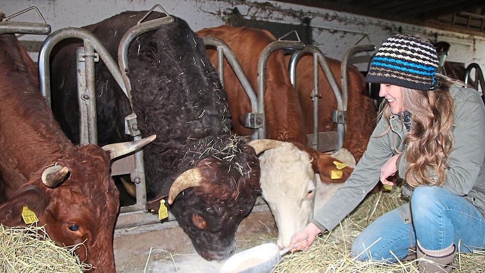 Shekinah Fuchs spendiert Getreidebruch, Hochgenuss f&uuml;r die Tiere im Stall. In der Mitte Stier Wolfi.
