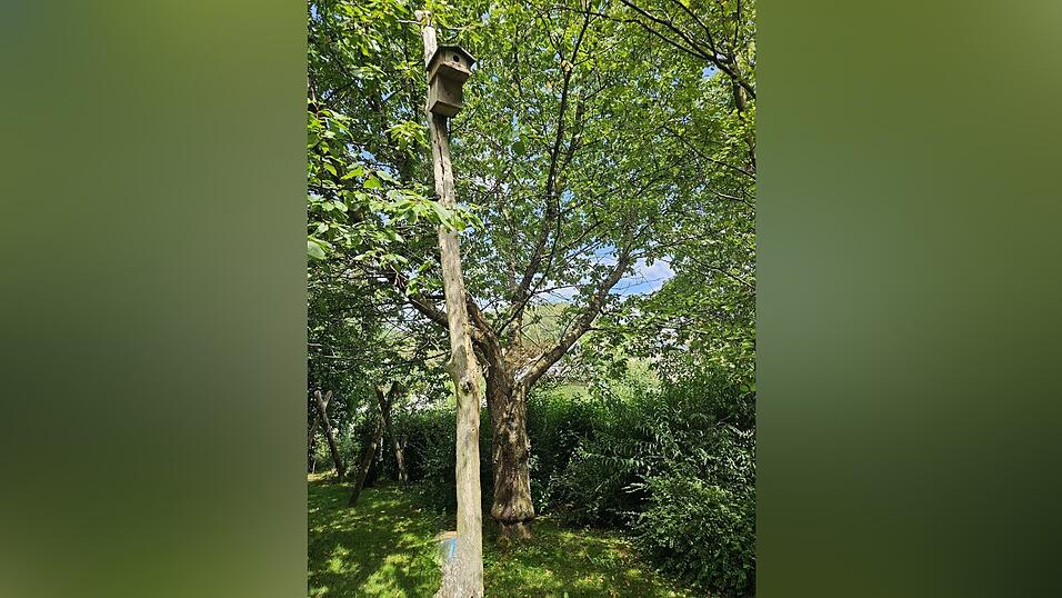 Ein vogelfreundlicher Garten (Archivfoto)