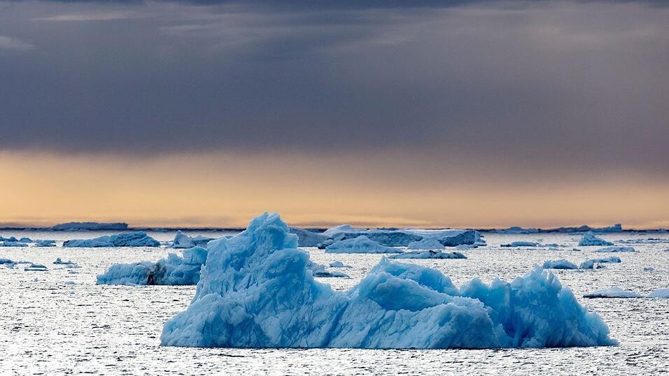 Die Dokumentation von Werner Herzog, in der der Pinguin vorkommt, ist aus dem Jahr 2007. (Archivfoto) Die Dokumentation von Werner Herzog, in der der Pinguin vorkommt, ist aus dem Jahr 2007. (Archivfoto)
