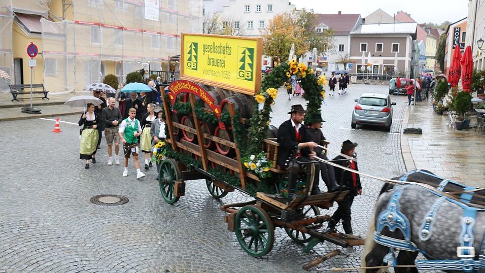 Das Brauereigespann beim Volksfestzug Das Brauereigespann beim Volksfestzug