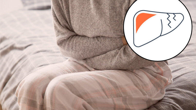 Die Leber sitzt unter dem rechten Rippenbogen und ist das zentrale Stoffwechselorgan des Menschen.&nbsp;