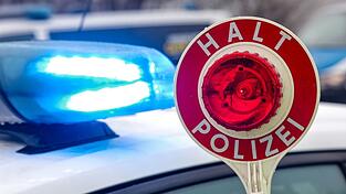 Die Polizei entdeckt die vier Welpen bei einer Kontrolle auf der A3. (Symbolbild)