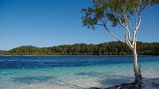 Der Lake McKenzie gilt als Postkartenmotiv schlechthin - aber Dingos greifen auch im Wasser an. (Archivbild)