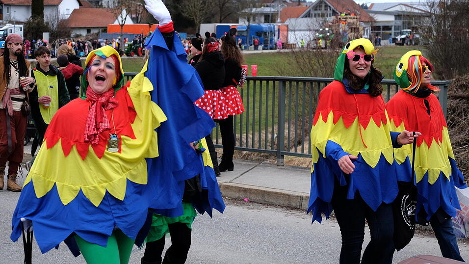 Beste Stimmung herrschte beim Rosenmontagszug in Geisenhausen.