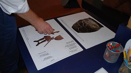 Seit einiger Zeit gibt es im Museum auch Mitmach-Stationen. Seit einiger Zeit gibt es im Museum auch Mitmach-Stationen.