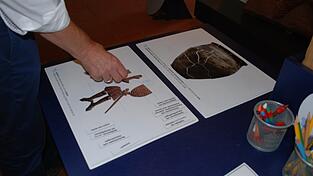 Seit einiger Zeit gibt es im Museum auch Mitmach-Stationen. Seit einiger Zeit gibt es im Museum auch Mitmach-Stationen.