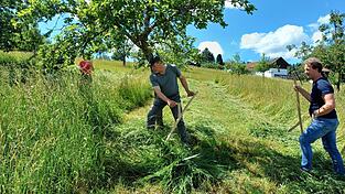 Sensenlehrer Georg Zellner zeigt das M&auml;hen um Hindernisse am Beispiel Obstbaum