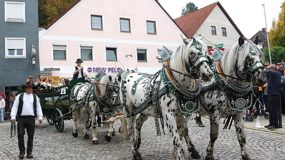 Die Leonharditruhe des Volkstrachtenvereins wurde vom Viersp&auml;nner Kaltblut gezogen.